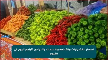 أسعار الخضراوات والفاكهة والأسماك والدواجن تتراجع اليوم في الفيوم